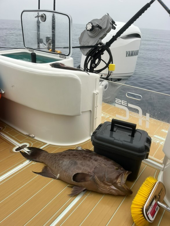 Insetta Adventures Image 7