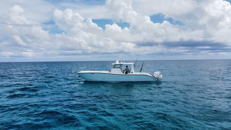 The Foiling Press – November 2024 Image 7