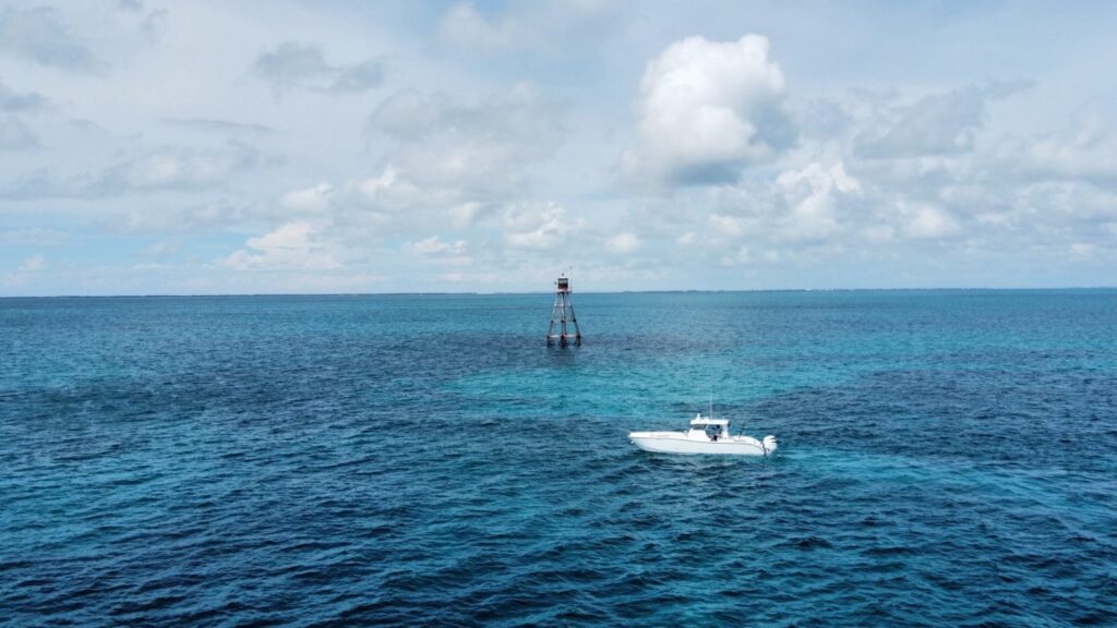 The Foiling Press – September 2024