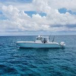 The Foiling Press – September 2024 Image 9
