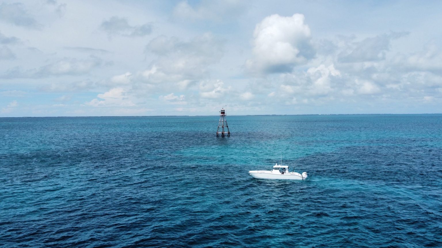The Foiling Press – September 2024